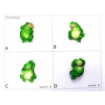 Calamita Magnete Frigo Fridge Magnets frogs PICCOLE RANE