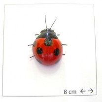 Calamita Magnete Frigo Fridge Magnets LADYBUG COCCINELLA DI TERRACOTTA