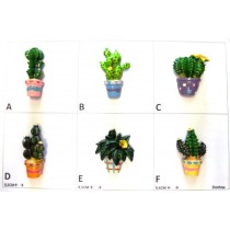 Calamita Magnete Frigo  Fridge Magnets  CACTUS MISTI  