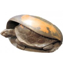 UOVO DI TARTARUGA DRAGO IN PIETRA E Resina ARTIGIANALE