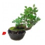 BONSAI  PIANTE ARTIFICIALI FINTE VASO IN CERAMICA SMALTATA VARI MODELLI