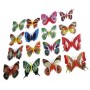 SET DI 6 FARFALLE Calamita Magnete  6 PCS MAGNETS BUTTERFLIES.